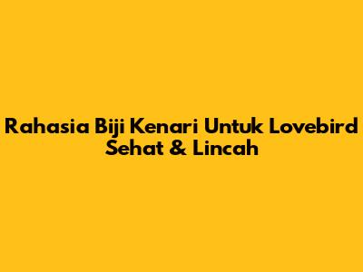 Rahasia Biji Kenari Untuk Lovebird Sehat & Lincah