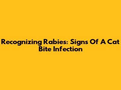 Recognizing Rabies: Signs Of A Cat Bite Infection