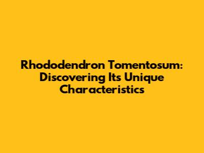 Rhododendron Tomentosum: Discovering Its Unique Characteristics