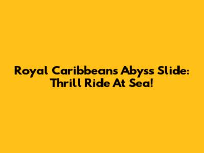 Royal Caribbean's Abyss Slide: Thrill Ride At Sea!