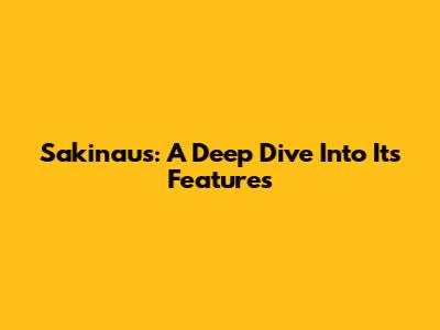 Sakinau's: A Deep Dive Into Its Features