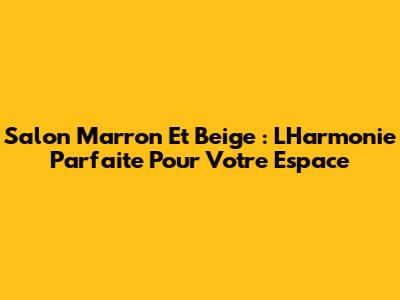Salon Marron Et Beige : L'Harmonie Parfaite Pour Votre Espace