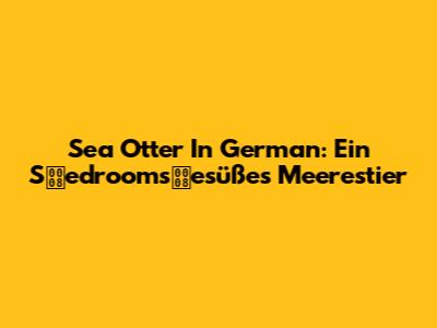 Sea Otter In German: Ein Sedroomsesüßes Meerestier