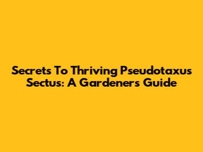 Secrets To Thriving Pseudotaxus Sectus: A Gardener's Guide