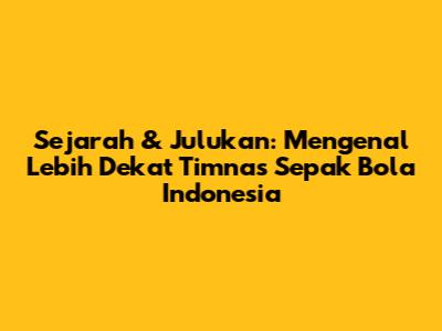 Sejarah & Julukan: Mengenal Lebih Dekat Timnas Sepak Bola Indonesia