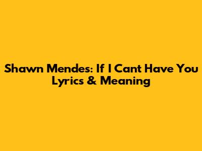 Shawn Mendes: "If I Can't Have You" Lyrics & Meaning
