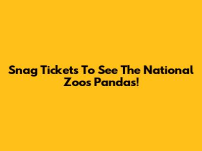 Snag Tickets To See The National Zoo's Pandas!