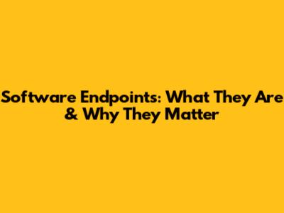 Software Endpoints: What They Are & Why They Matter