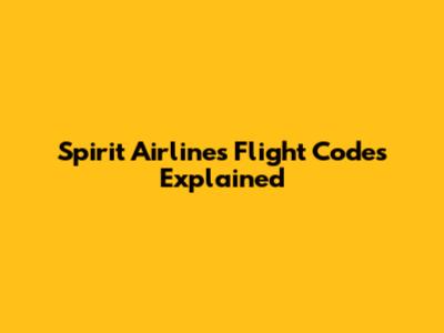 Spirit Airlines Flight Codes Explained