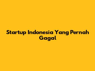 Startup Indonesia Yang Pernah Gagal