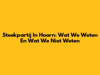 Steekpartij In Hoorn: Wat We Weten En Wat We Niet Weten