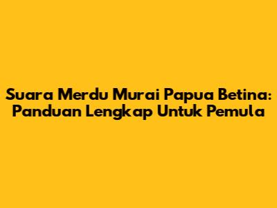 Suara Merdu Murai Papua Betina: Panduan Lengkap Untuk Pemula