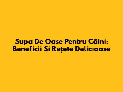 Supa De Oase Pentru Câini: Beneficii Și Rețete Delicioase