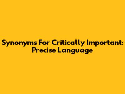 Synonyms For Critically Important: Precise Language