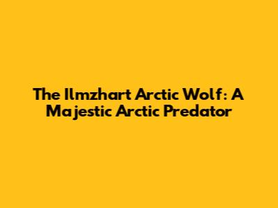 The Ilmzhart Arctic Wolf: A Majestic Arctic Predator
