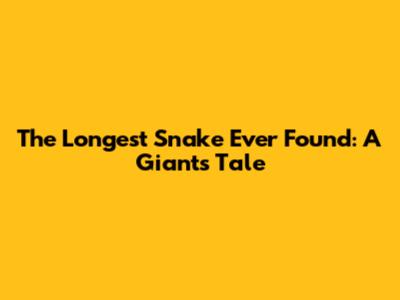 The Longest Snake Ever Found: A Giant's Tale