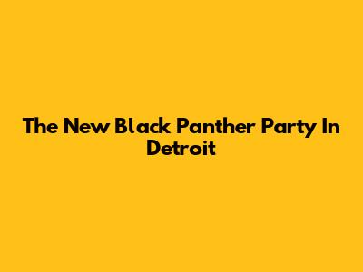The New Black Panther Party In Detroit