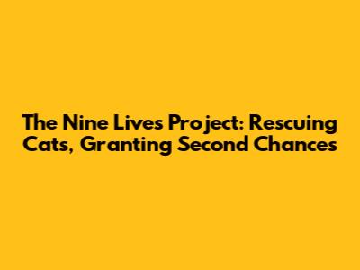 The Nine Lives Project: Rescuing Cats, Granting Second Chances