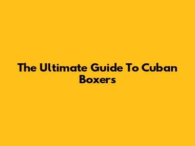 The Ultimate Guide To Cuban Boxers