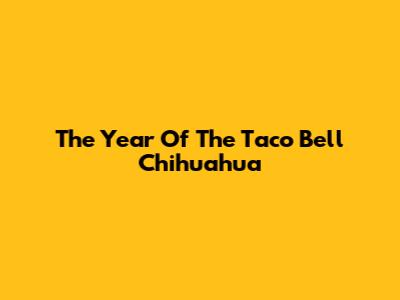 The Year Of The Taco Bell Chihuahua
