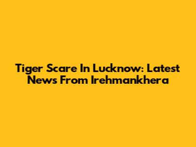Tiger Scare In Lucknow: Latest News From Irehmankhera