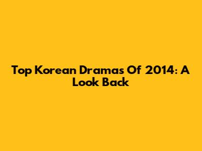 Top Korean Dramas Of 2014: A Look Back