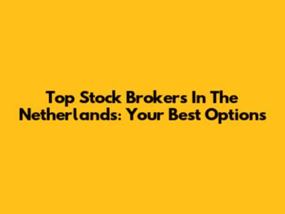 Top Stock Brokers In The Netherlands: Your Best Options