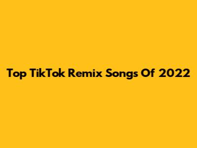 Top TikTok Remix Songs Of 2022