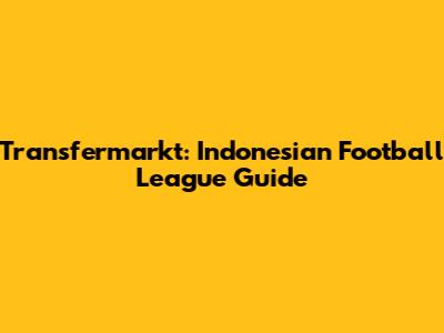 Transfermarkt: Indonesian Football League Guide