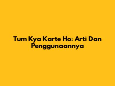 Tum Kya Karte Ho: Arti Dan Penggunaannya