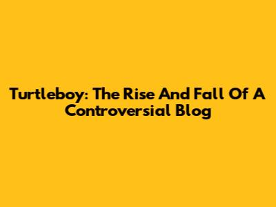Turtleboy: The Rise And Fall Of A Controversial Blog