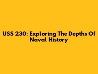 USS 230: Exploring The Depths Of Naval History