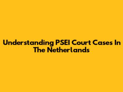 Understanding PSEI Court Cases In The Netherlands