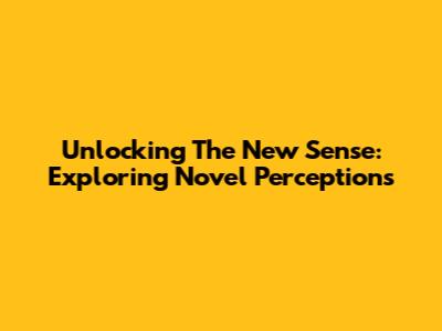 Unlocking The New Sense: Exploring Novel Perceptions