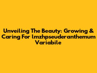 Unveiling The Beauty: Growing & Caring For *lmzhpseuderanthemum Variabile*