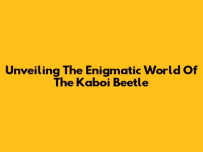 Unveiling The Enigmatic World Of The Kaboi Beetle