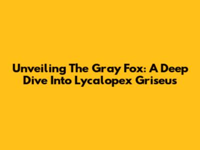 Unveiling The Gray Fox: A Deep Dive Into *Lycalopex Griseus*