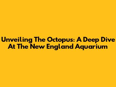 Unveiling The Octopus: A Deep Dive At The New England Aquarium