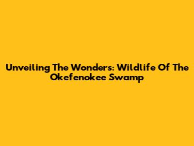 Unveiling The Wonders: Wildlife Of The Okefenokee Swamp