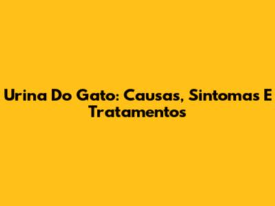 Urina Do Gato: Causas, Sintomas E Tratamentos