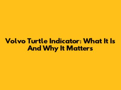 Volvo Turtle Indicator: What It Is And Why It Matters