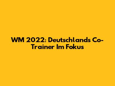 WM 2022: Deutschlands Co-Trainer Im Fokus