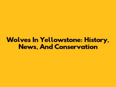 Wolves In Yellowstone: History, News, And Conservation