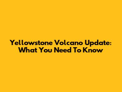 Yellowstone Volcano Update: What You Need To Know