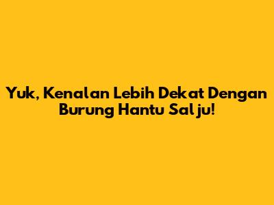 Yuk, Kenalan Lebih Dekat Dengan Burung Hantu Salju!