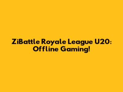 ZiBattle Royale League U20: Offline Gaming!