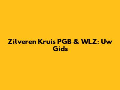 Zilveren Kruis PGB & WLZ: Uw Gids