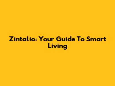 Zintalio: Your Guide To Smart Living